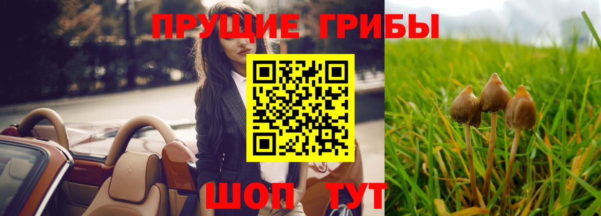 Усинск  Галлюциногенные грибы MAGIC MUSHROOMS  Вход с VPN 